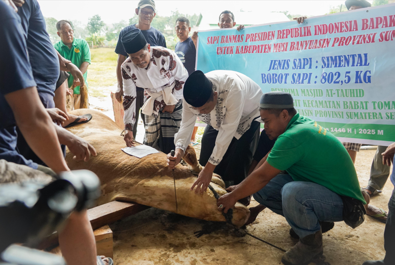 WARGA MUBA SEMBELIH SAPI PRESIDEN